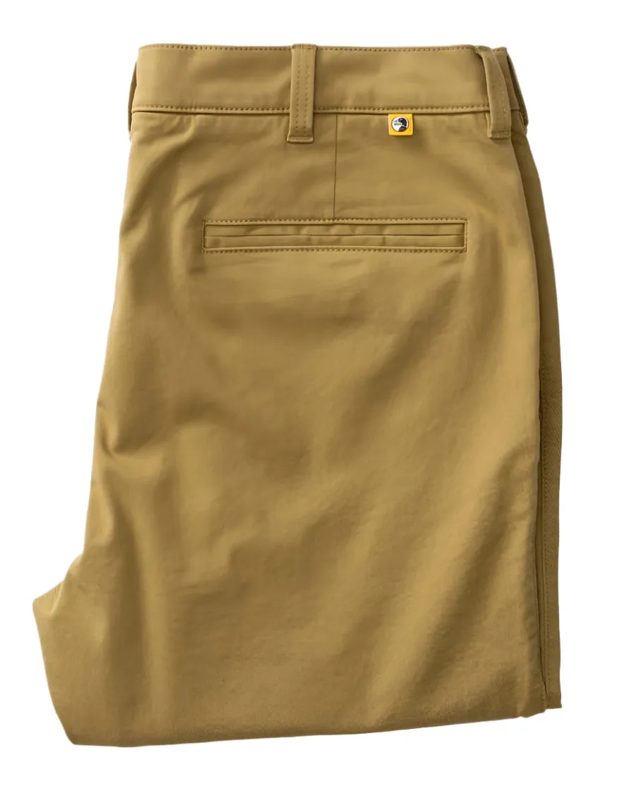 Classic Fit Gold School Chino (Fennel)