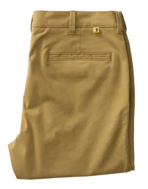 Classic Fit Gold School Chino (Fennel)